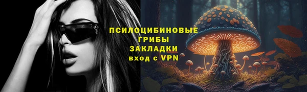 шишки Вязьма