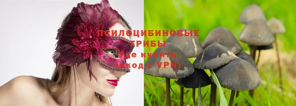 гидра Волоколамск