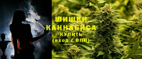 шишки Вязьма