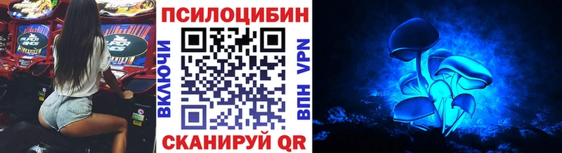 Псилоцибиновые грибы мухоморы  mega tor  Невель  купить наркотики цена 
