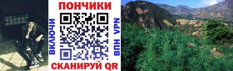 купить  сайты  Невель  Марихуана Bruce Banner 